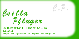 csilla pfluger business card